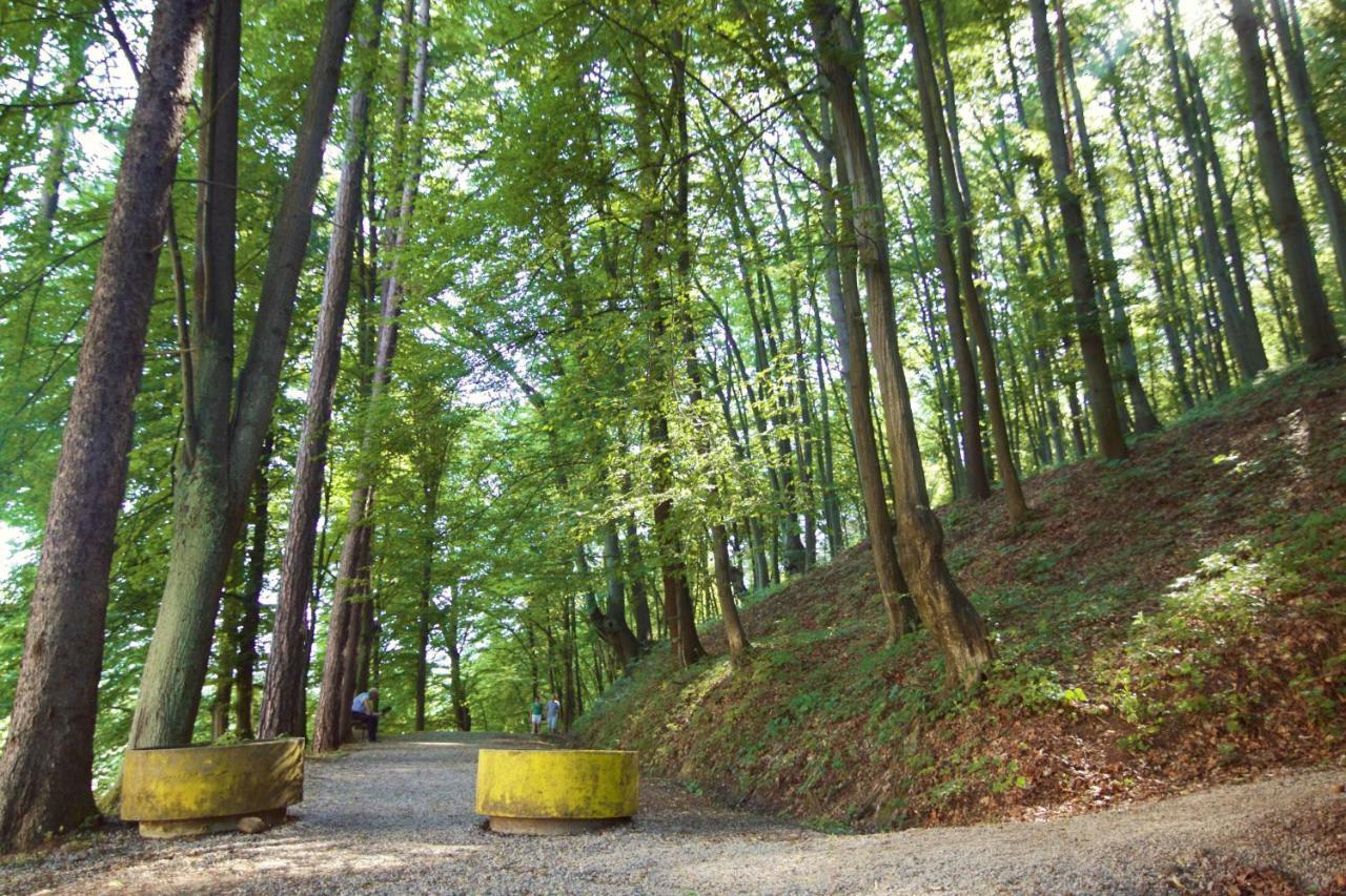Apartman Nikolic,Banja Vrucica,Teslić Exteriör bild
